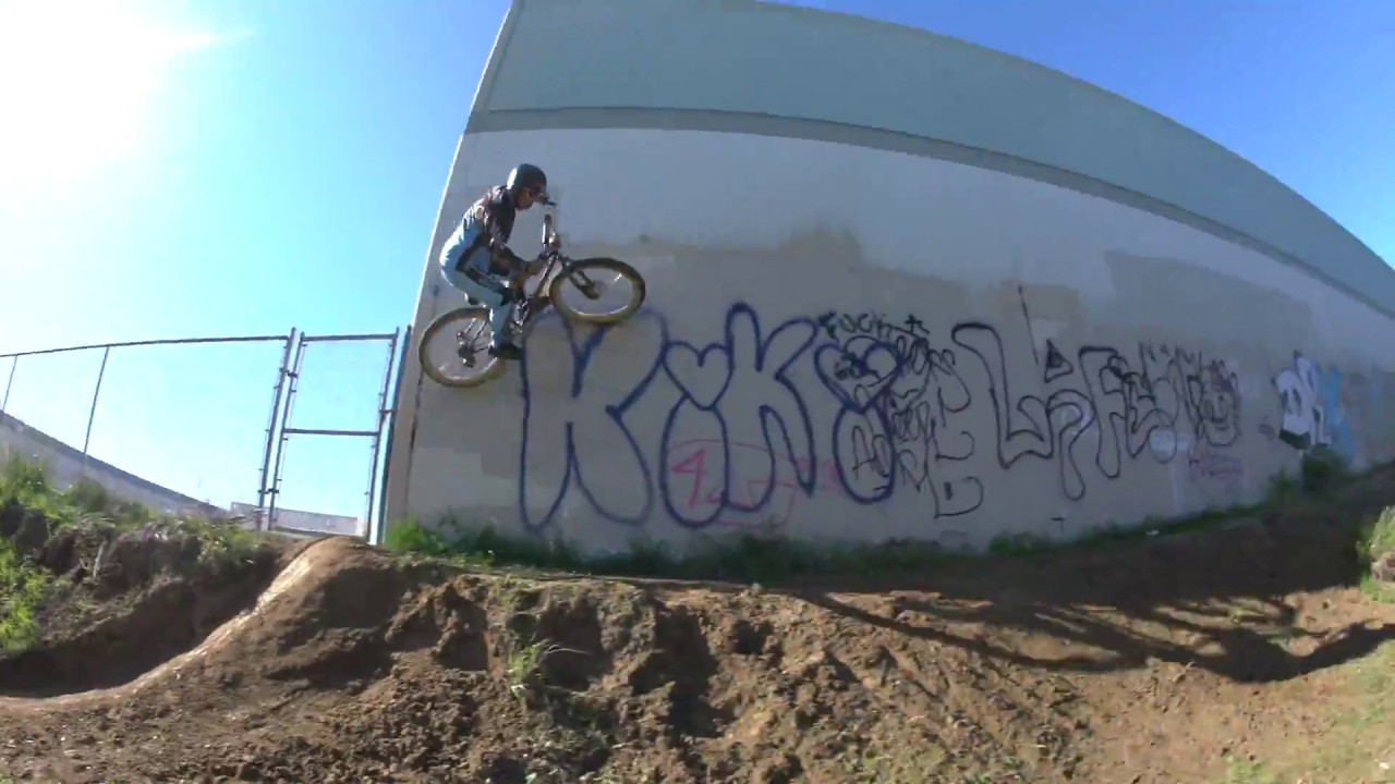 Велосипед SE OM-Duro BMX