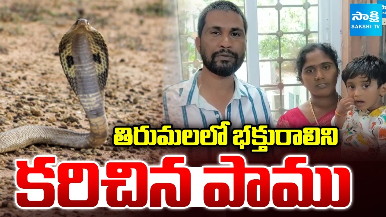 తిరుమలలో భక్తురాలిని కరిచిన పాము | Snake Bites Lady Devotee in Tirumala | Sakshi TV