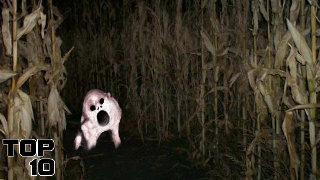Top 10 Dark Farm Stories NOT To Be Heard Alone