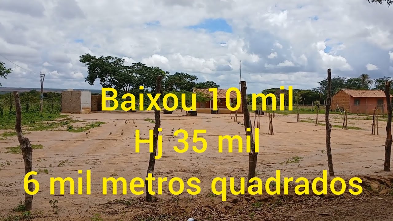 Olha a oportunidade. 87981363923. Valor 35 mil