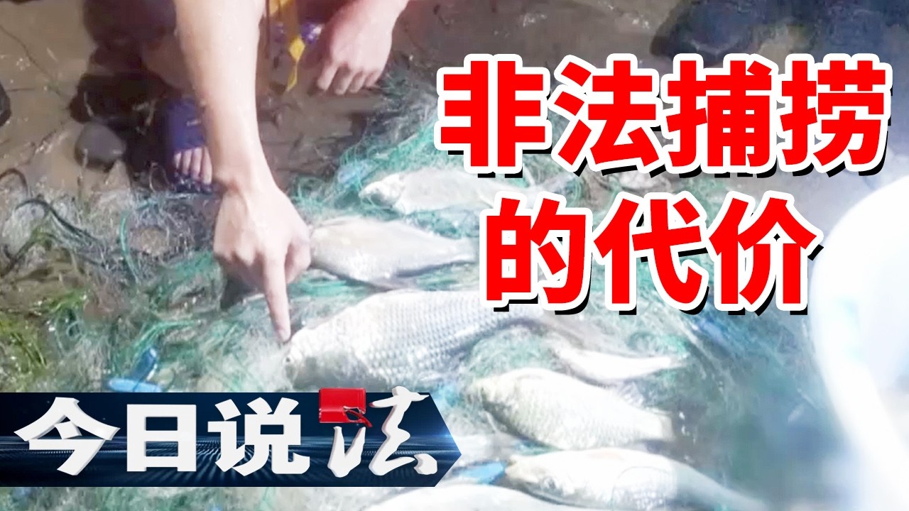 《今日说法》“轮胎渔夫”顶风作案 叔侄联手却被聊天记录“出卖”？20260312 | 今日法案