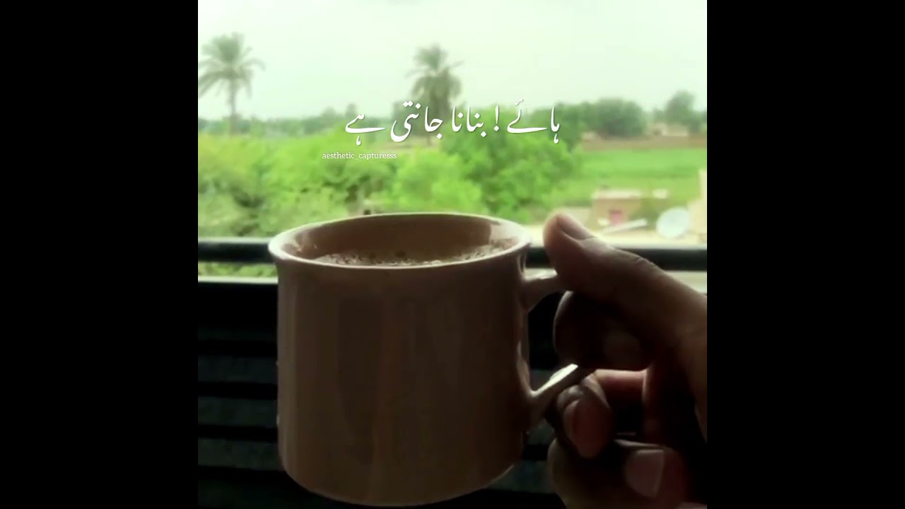 Chai lover | Whatsapp status poetry 💕 #shabbarjaffry #chai #poetry #whatsappstatus #shorts
