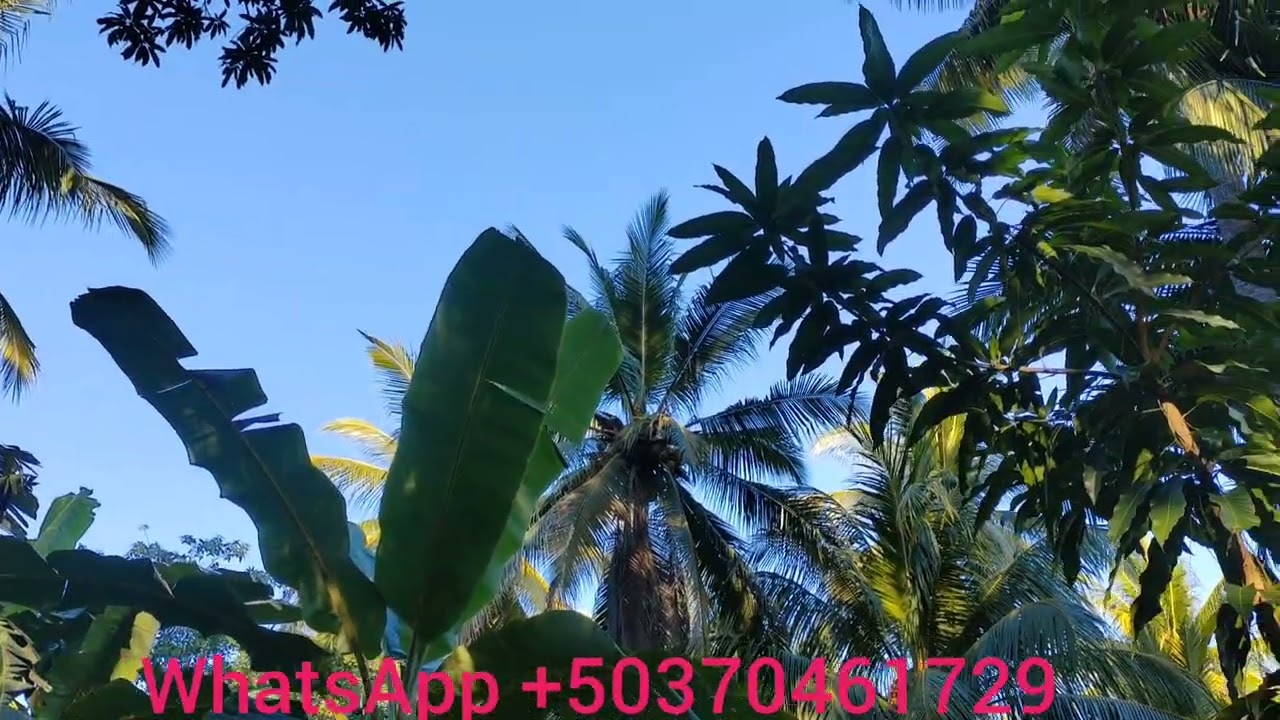 En venta 3 lotes en las delicias municipio de Acajutla de partamento de Sonsonate 