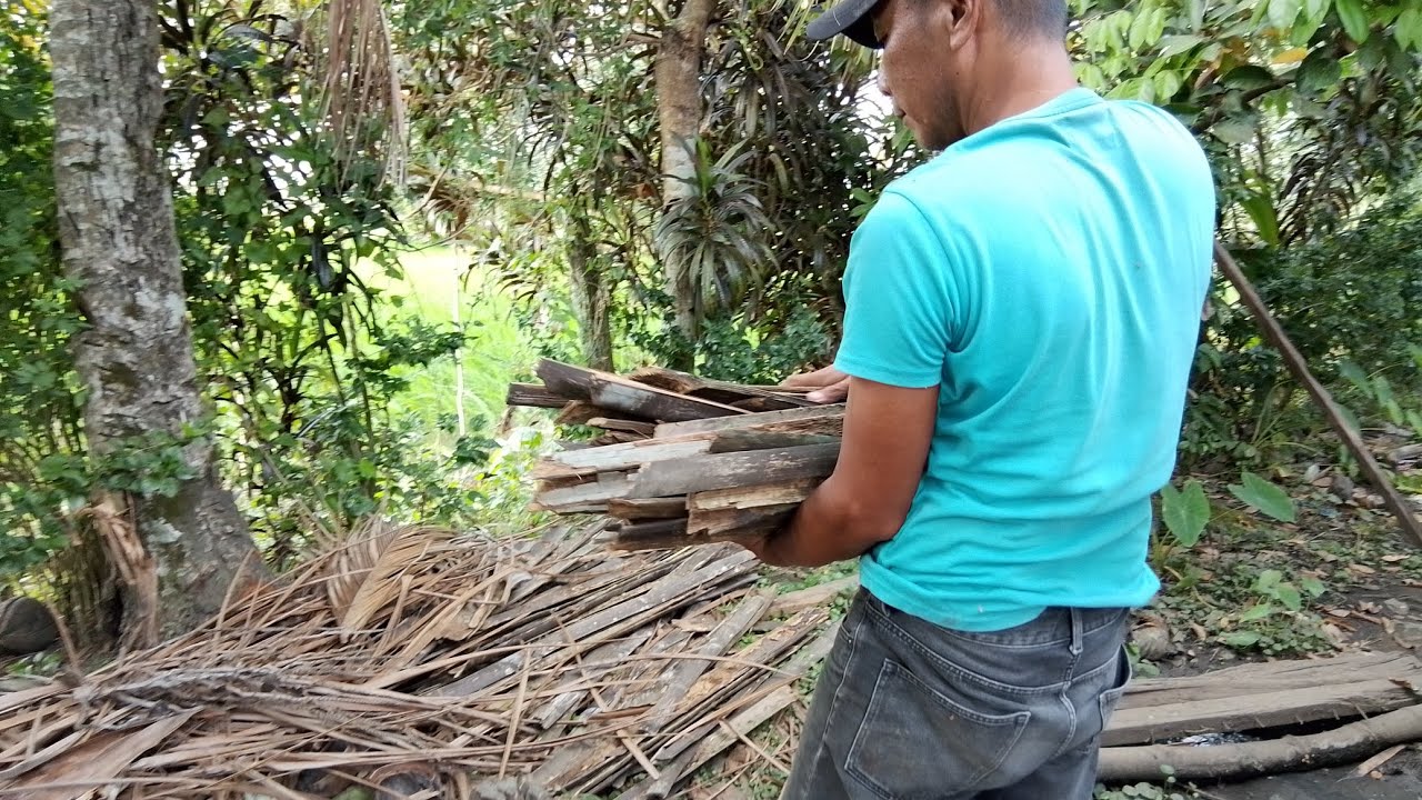 Sibak ng Kahoy