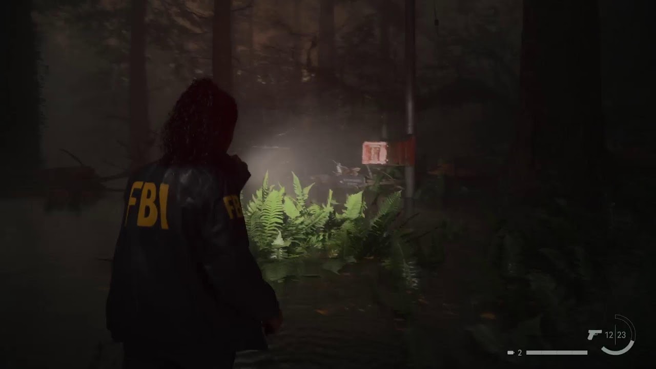 Alan Wake 2 Deluxe Editon / German / Ps5❤️
