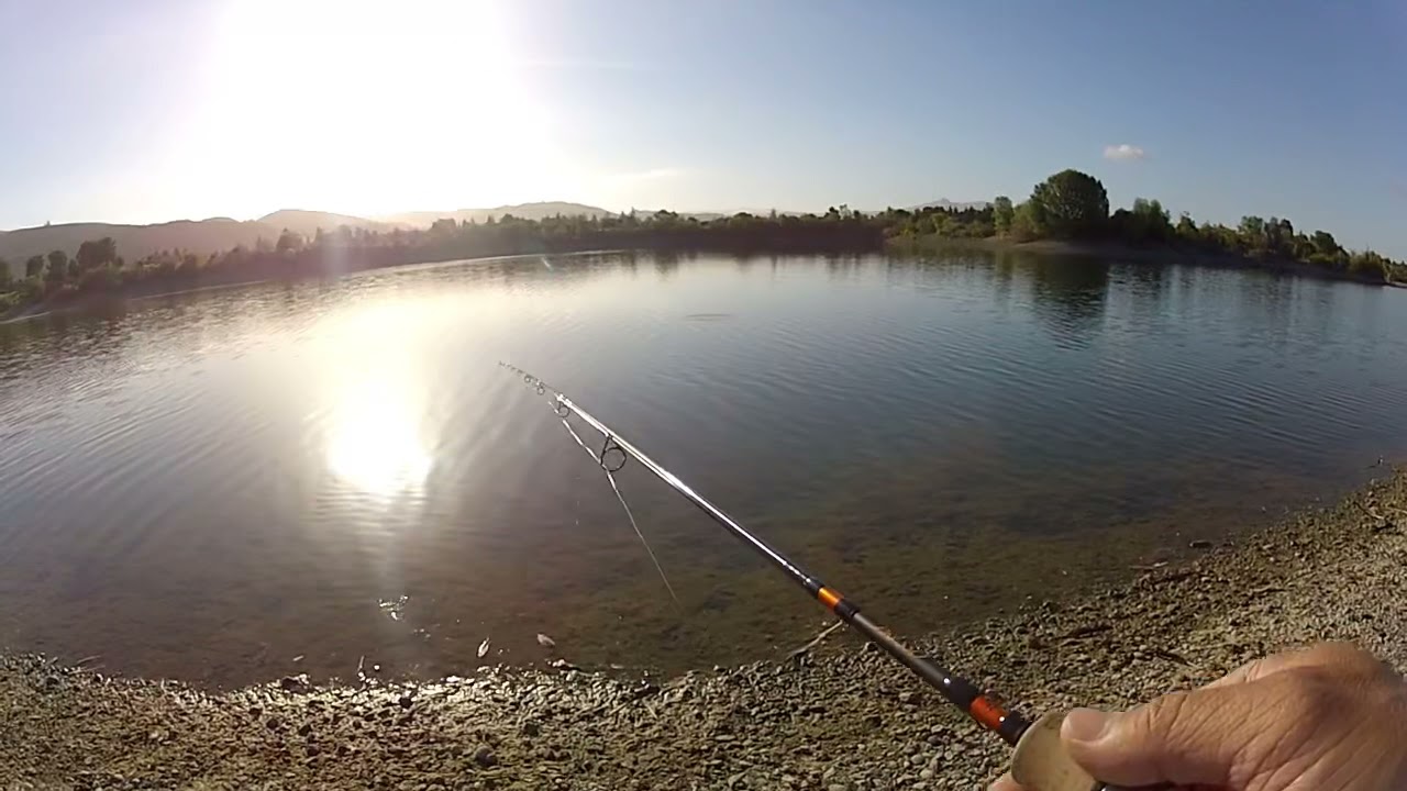 Quarry Lake Trout Misses Then ATTACKS My Minijig! 🎣