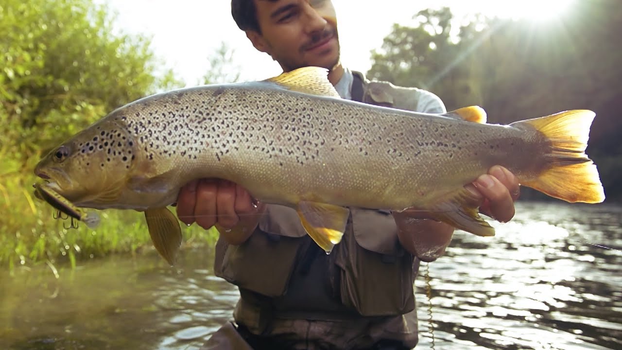 Pescatori di Trote, Benvenuti all Sud! - Troutsession - Ep. 7