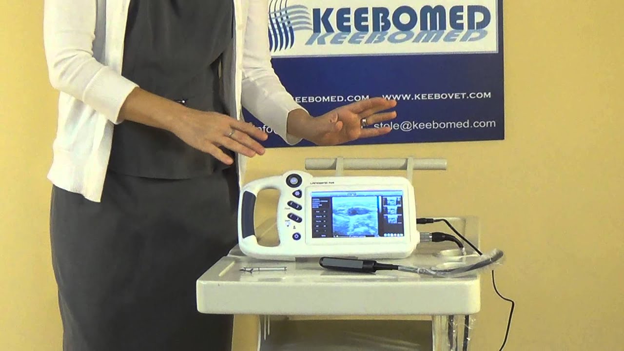 Landwind P09Vet Equine and Bovine Ultrasound Machine