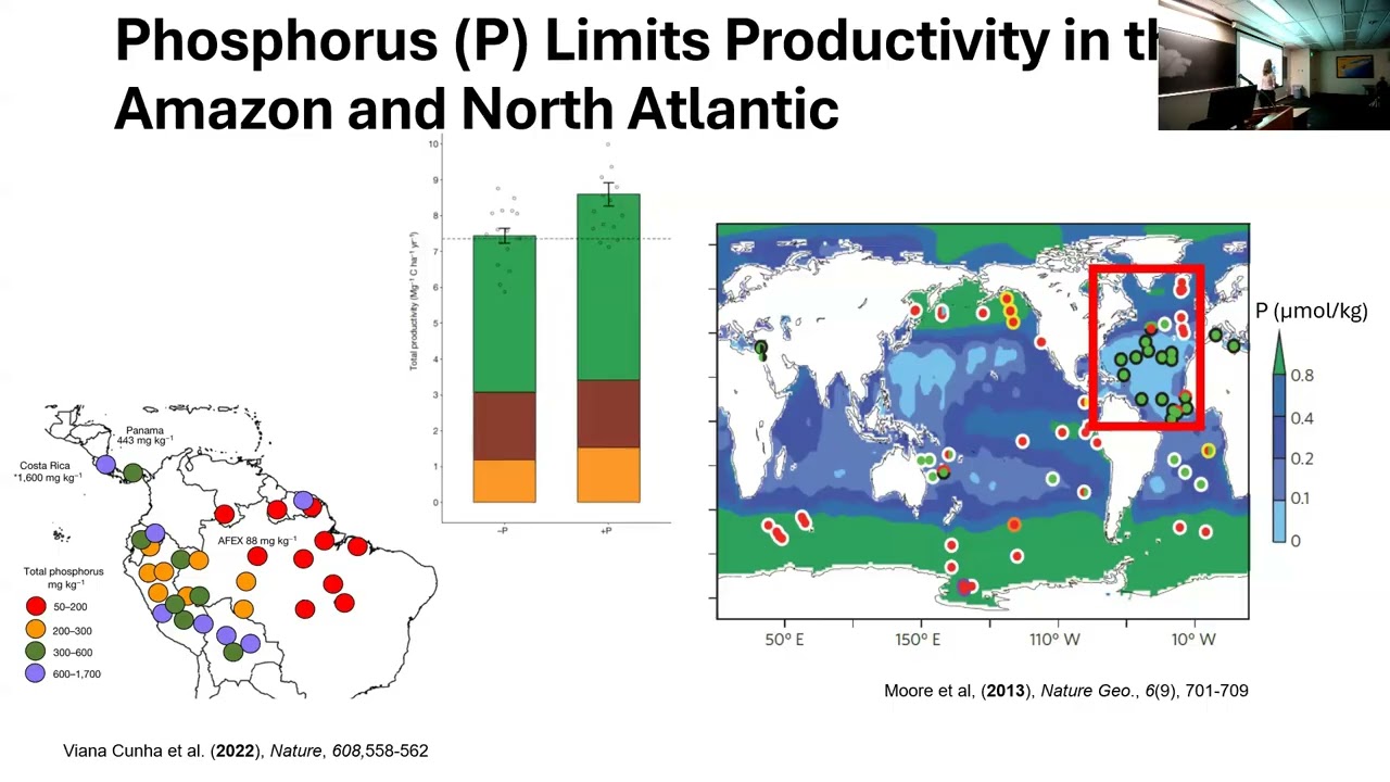 SoMAS - The Impact of Dust and Beyond on Marine Biogeochemical Cycles