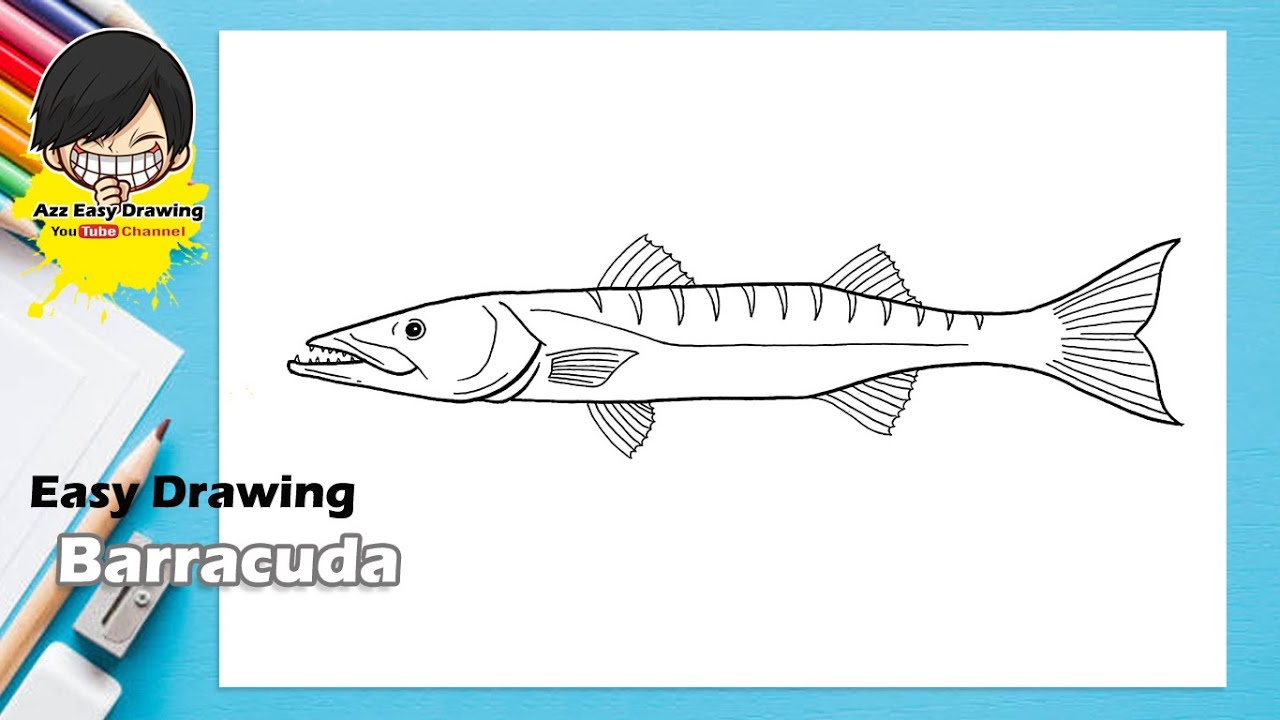 Easy Drawing Barracuda