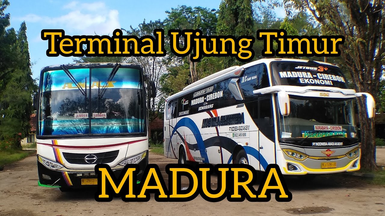 BUS BANYAK ‼️ PENUMPANG BANYAK ‼️‼️ ujung timur Madura