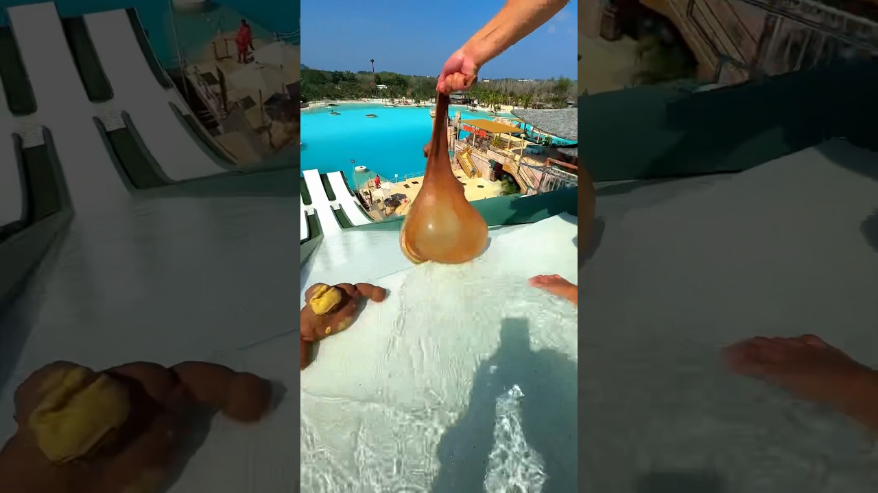 The foreigner almost tore the monkey apart with water🤣
