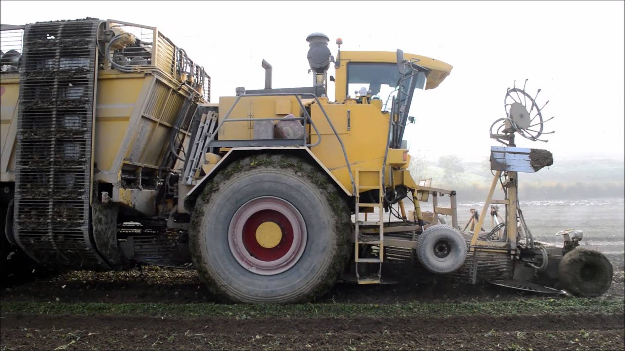 Arrachage betteraves en conditions difficiles avec JPS SOYEZ -sugar beet harvest 12 row