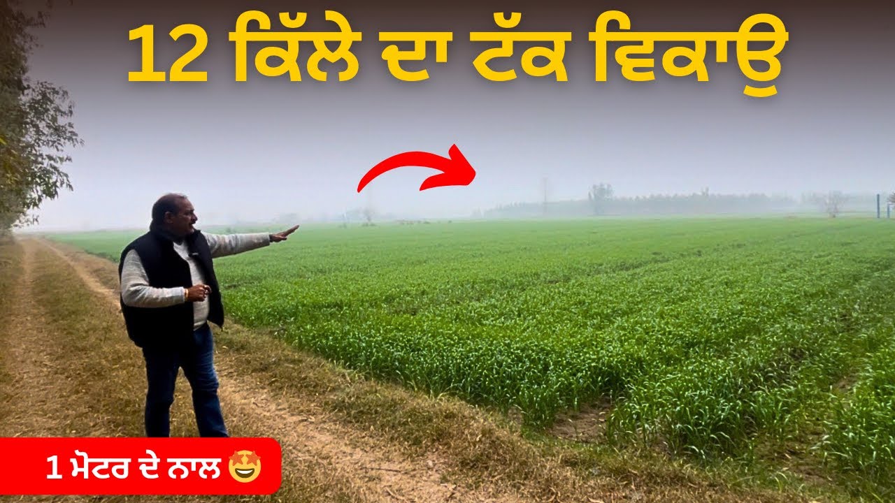 12 ਕਿੱਲੇ ਵਿਕਾਉ, underground pipeline 🤩 land for sale in hoshiarpur Punjabvideo: 257