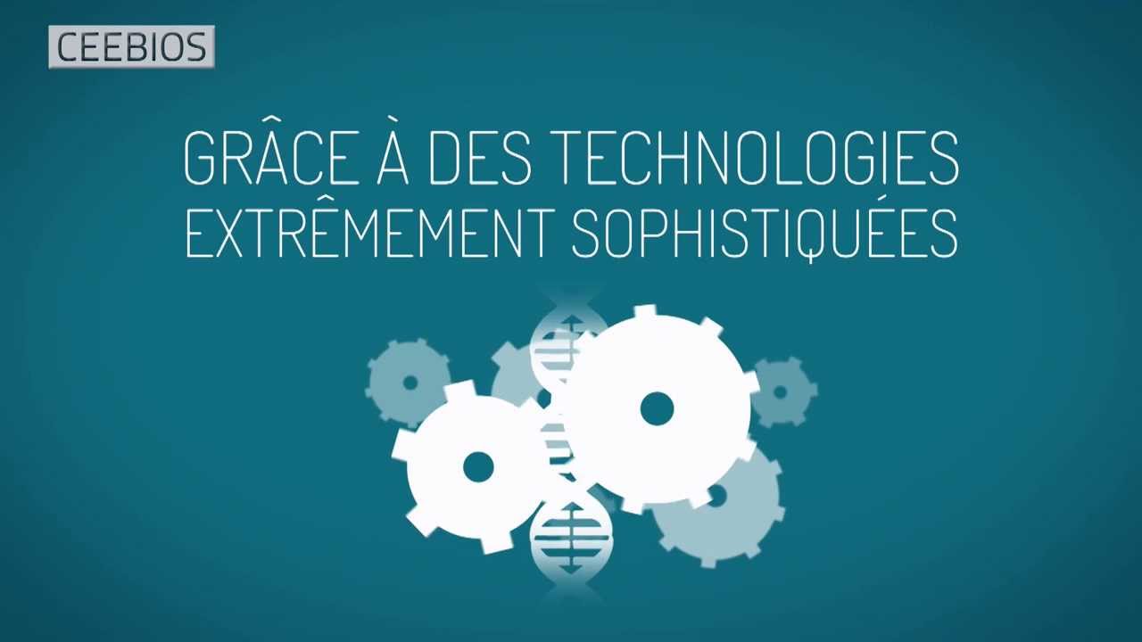 CEEBIOS - Film Biomimetisme - Eté 2013