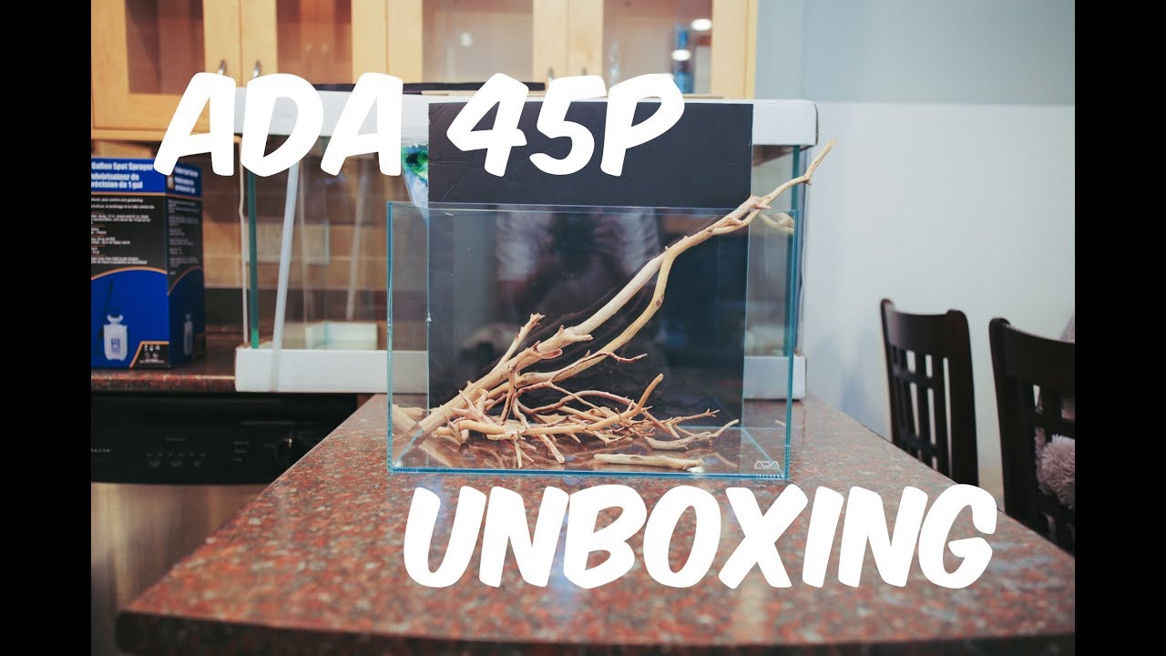 ADA 45P Aquarium Unboxing from SKA