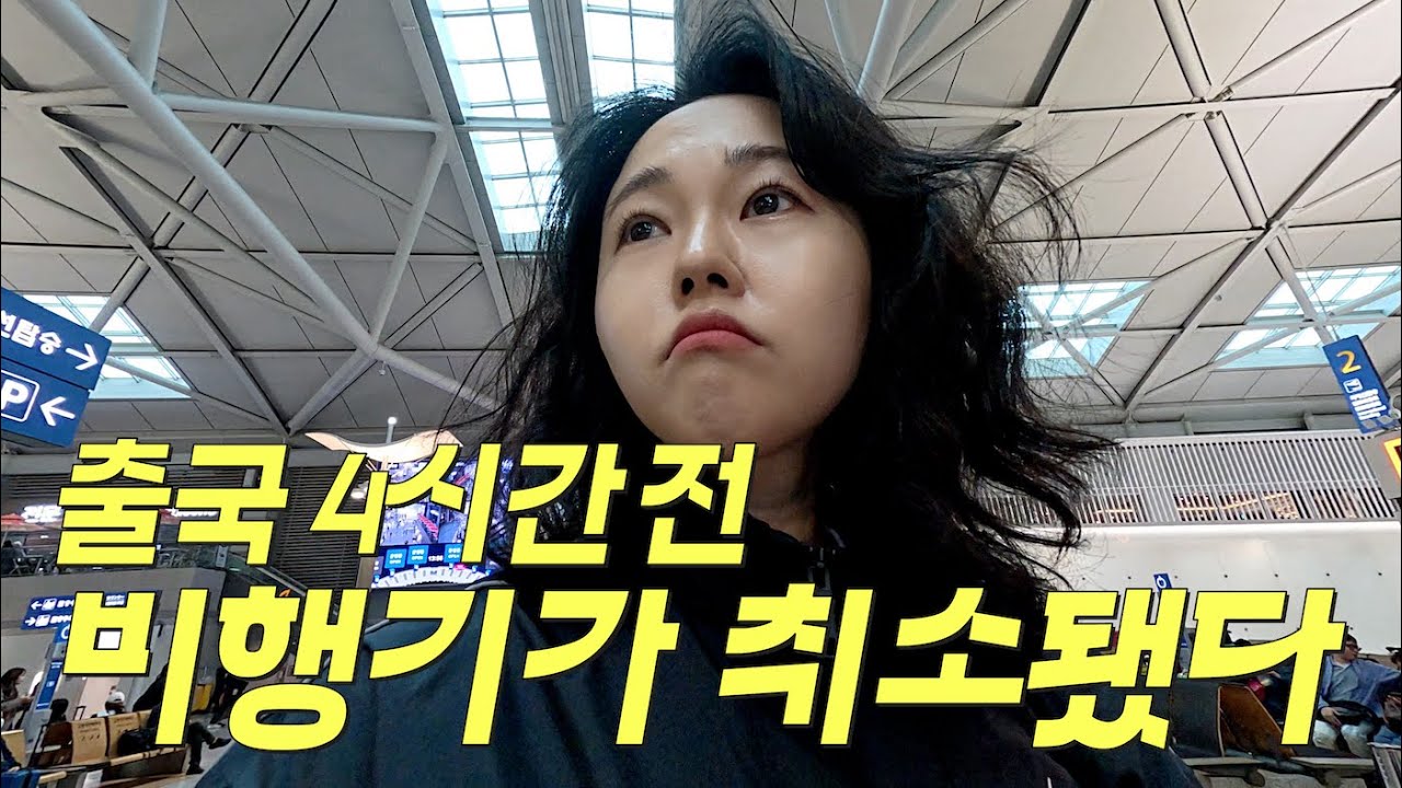 험난한 여행의 시작 27시간 미국 입국기ㅣ미국1