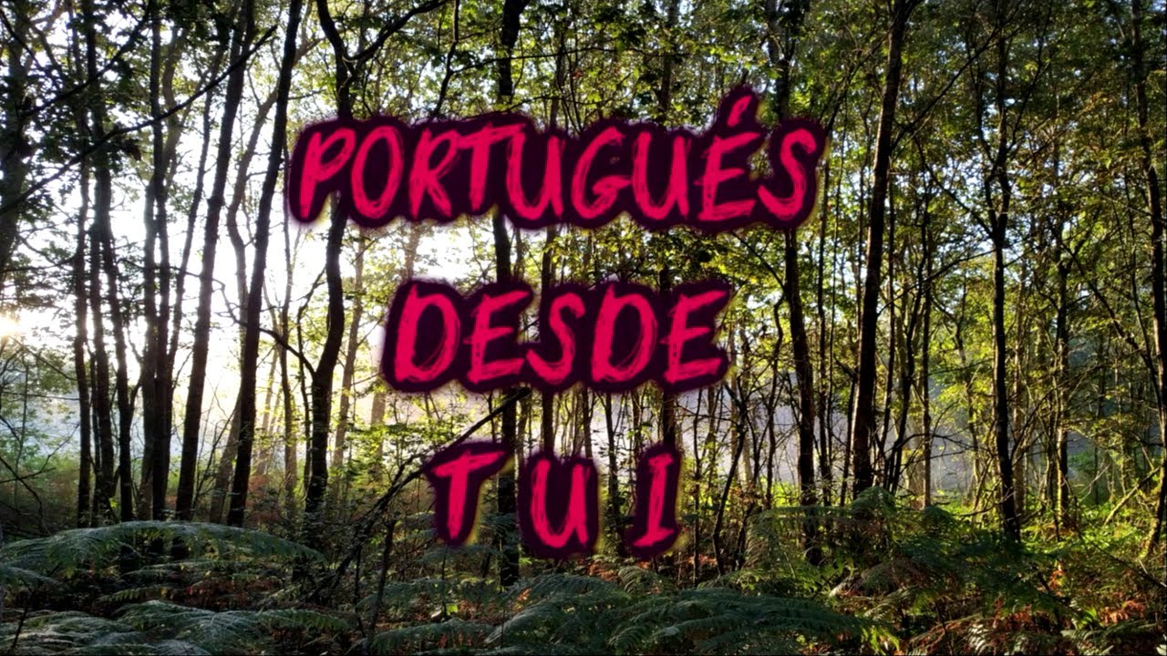 CAMINO PORTUGUÉS  Desde Tui. 2022.
