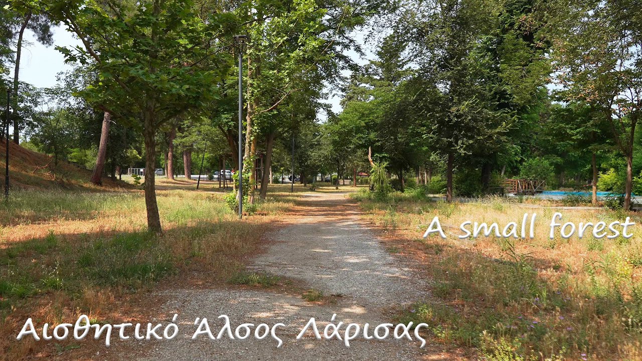 Αισθητικό Άλσος Λάρισας - A small forest near the city