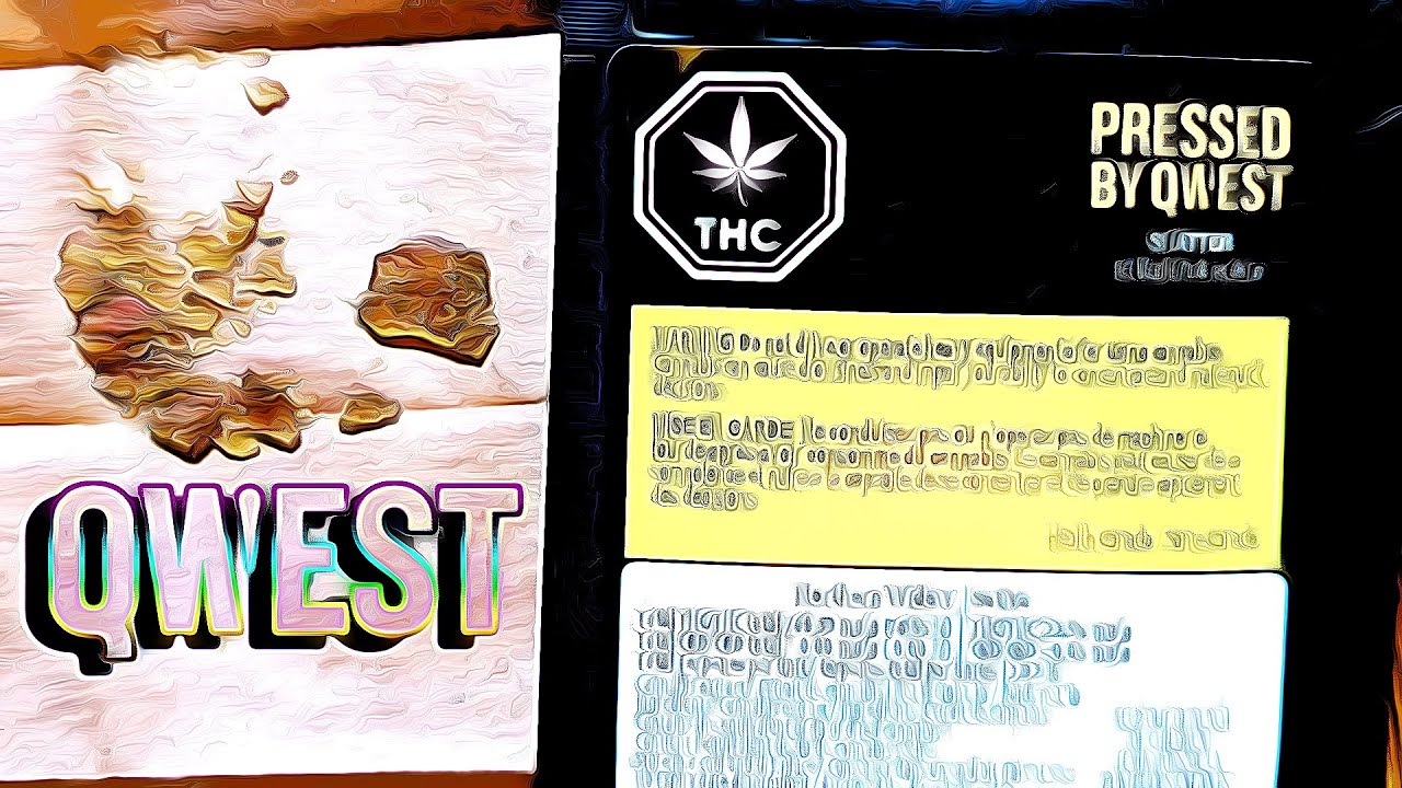 First Impressions - Northern Widow Shatter - Pressed by Qwest