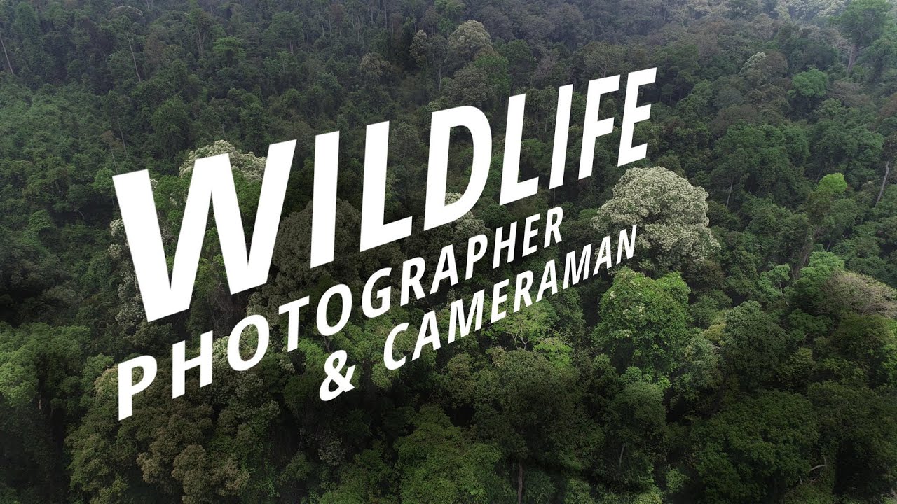 Vietnam documentary film & corporate dop, cameraman, crew, sound, drone operator Ho Chi Minh City