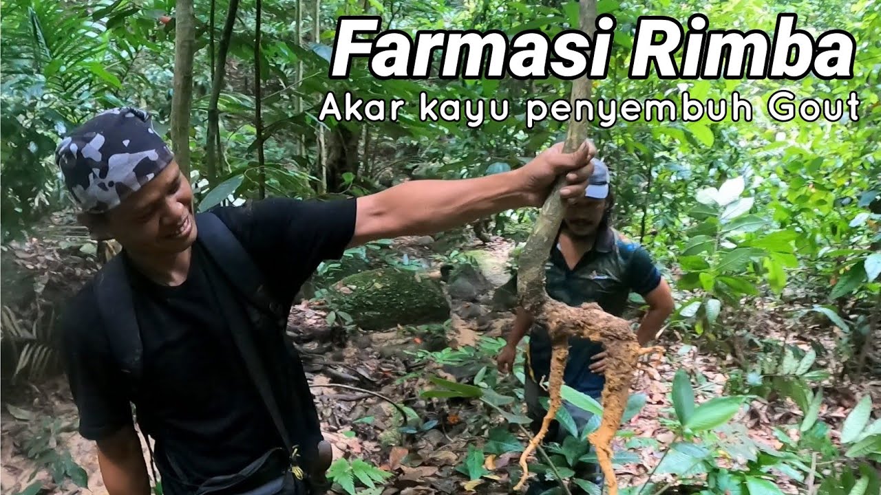 Ekspedisi Hutan | Farmasi Rimba 