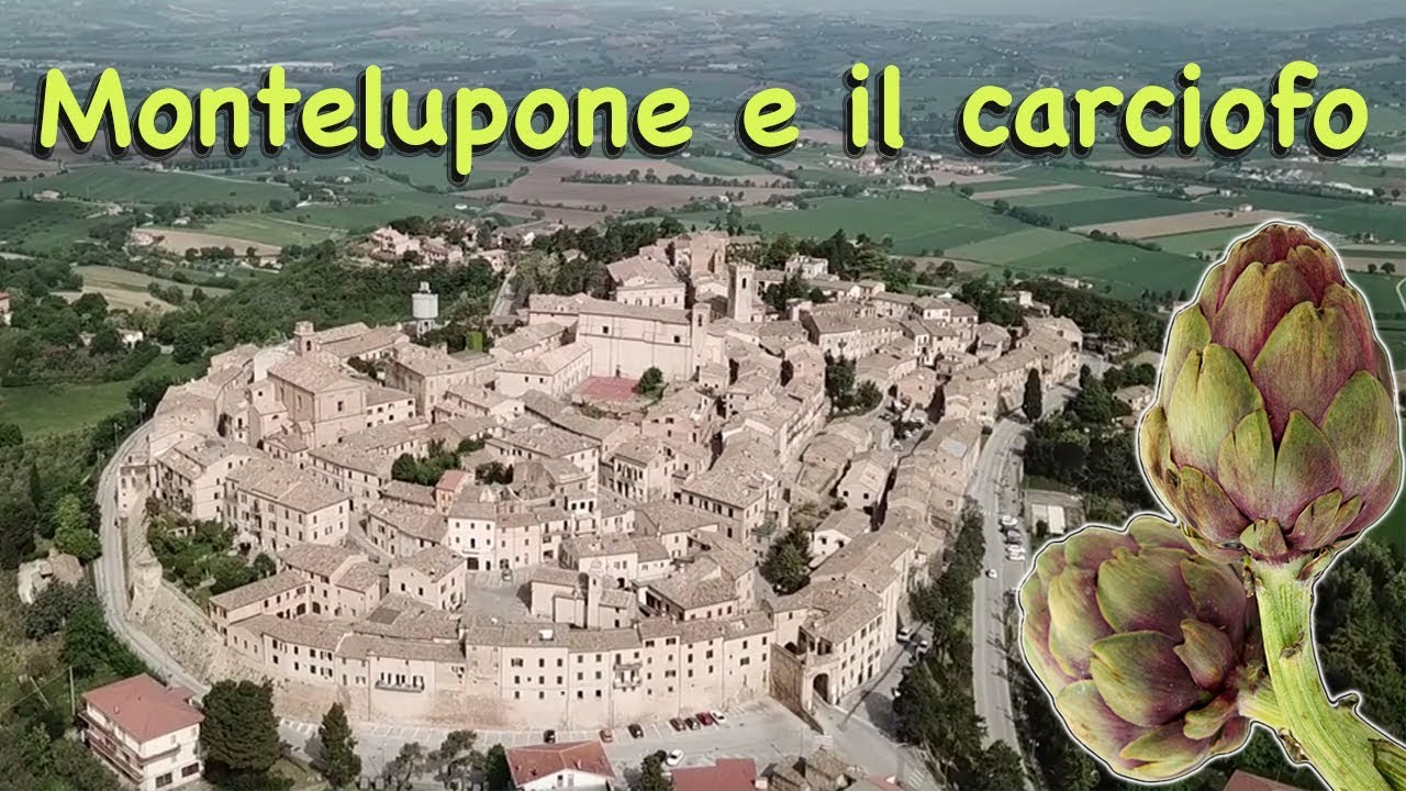 Montelupone e il carciofo !