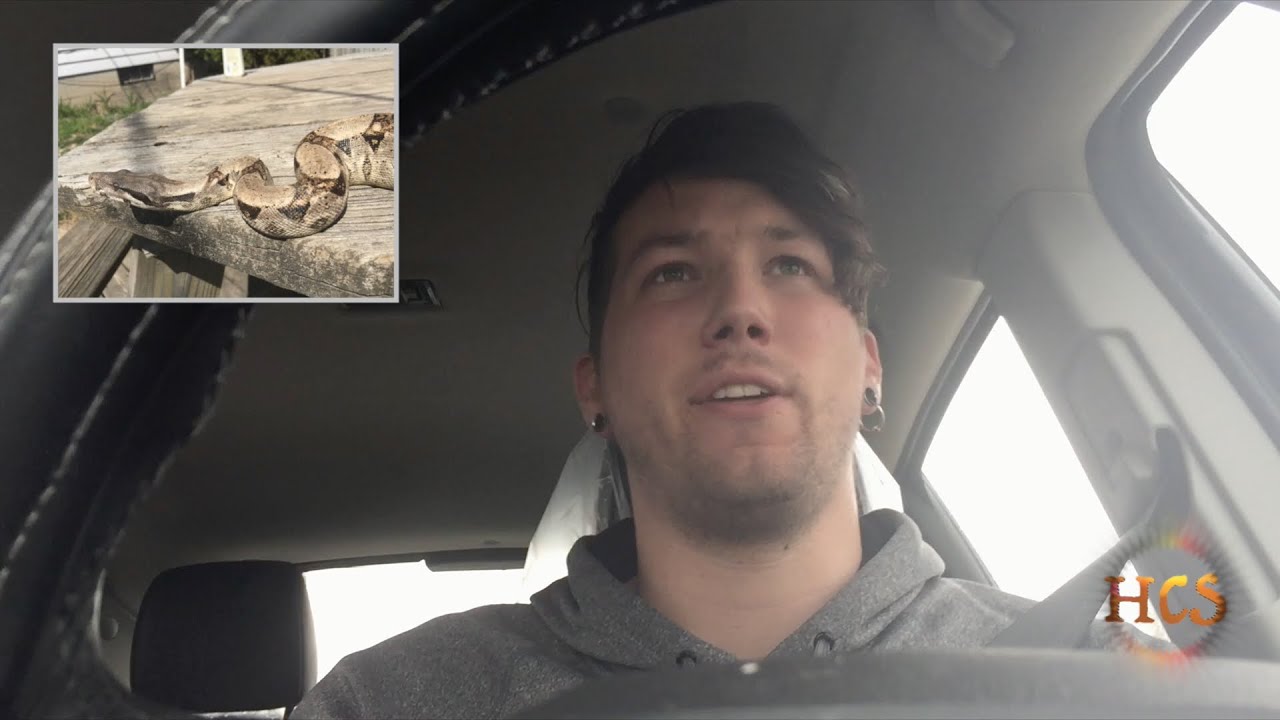 Vet Visit VLOG