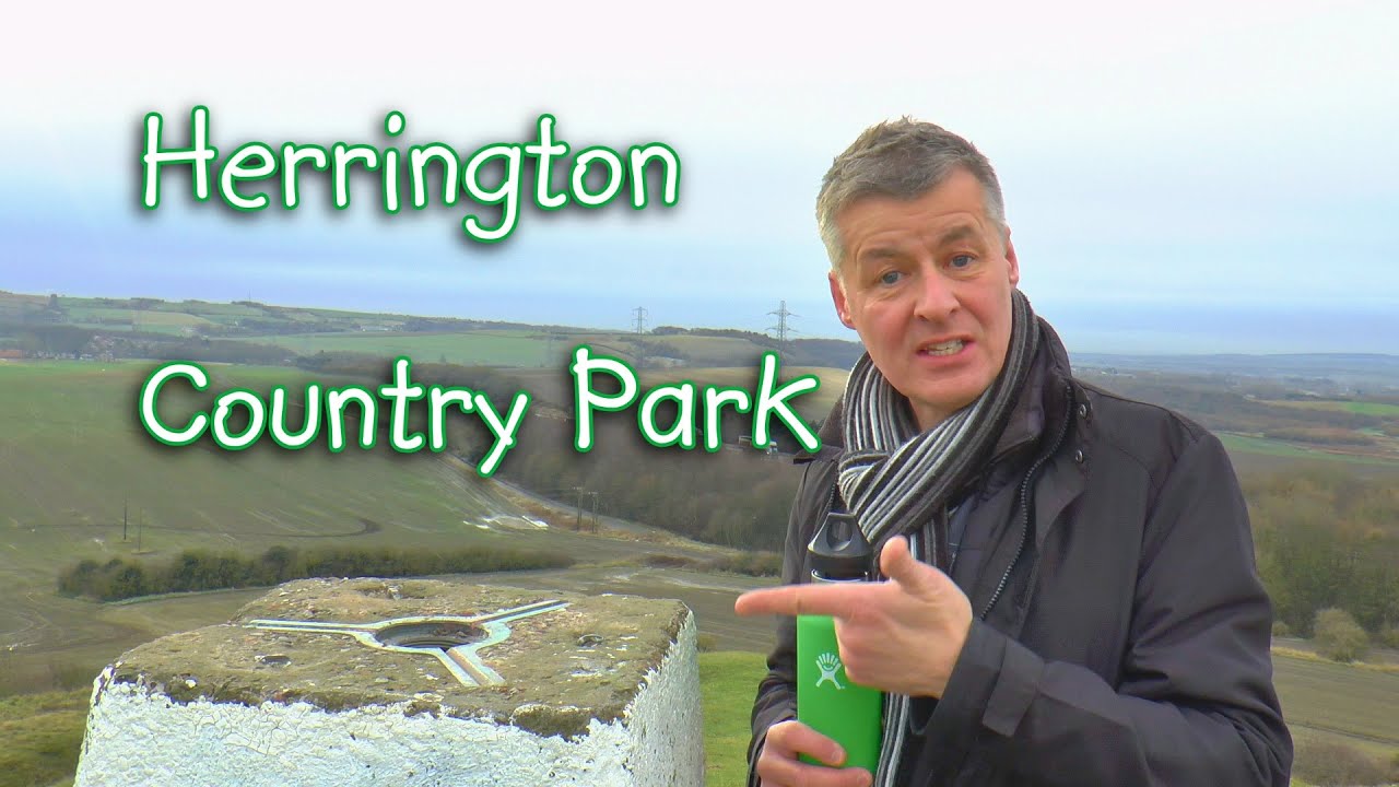Herrington Country Park - Dr Renwick enjoys some great views & wildlife in his 4th 'Let's Walk' vid.