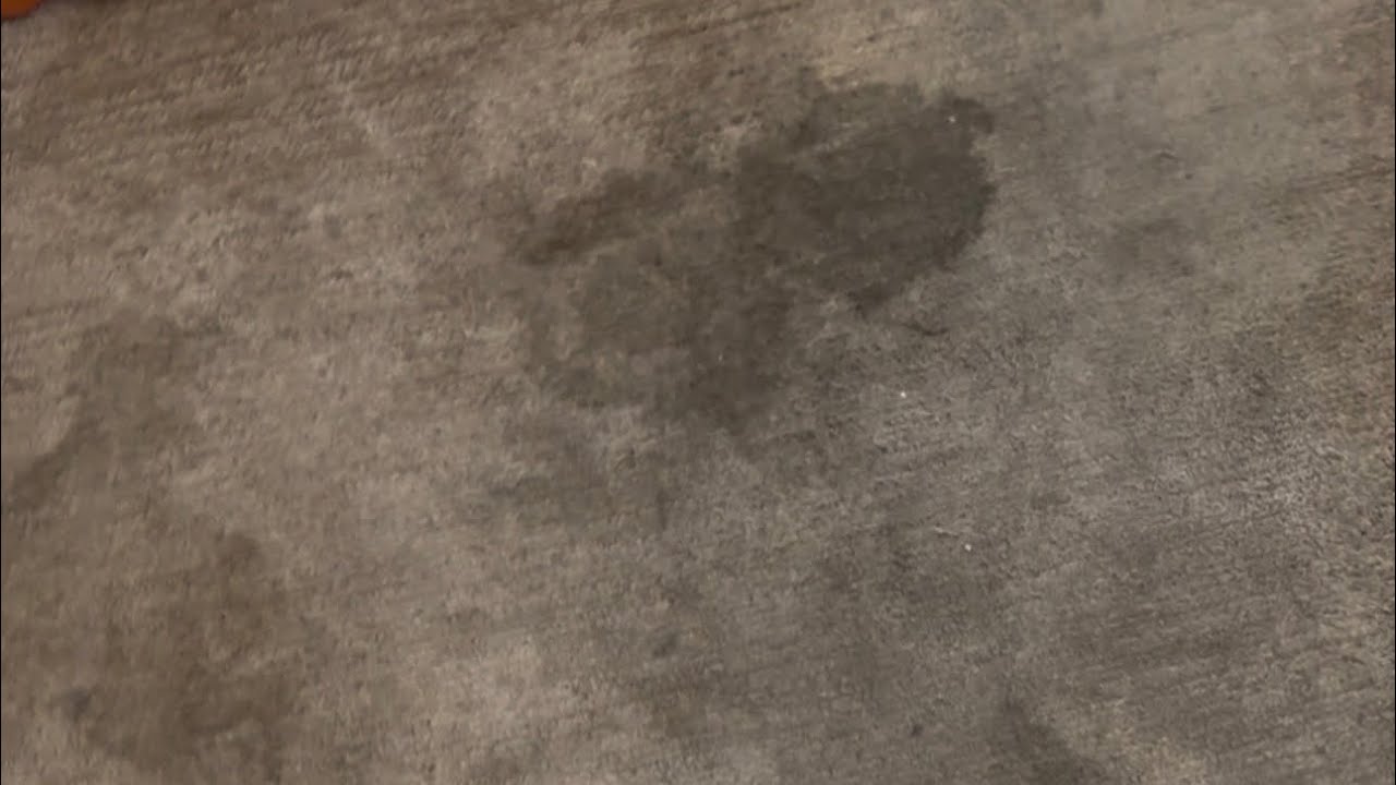 ASMR Steam cleaning a cane corso potty pad 