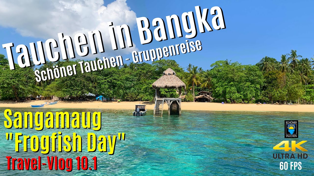 Tauchen in Bangka - Sangamaung 