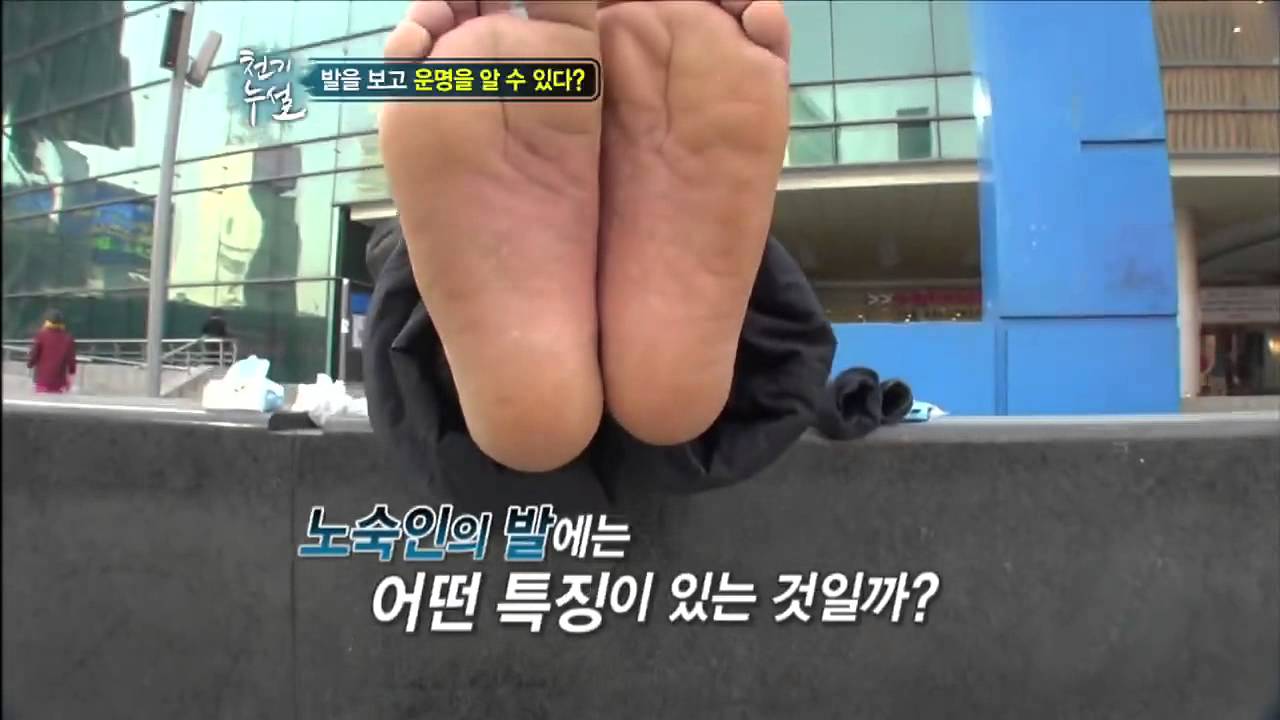 생명의 비밀 지도 발