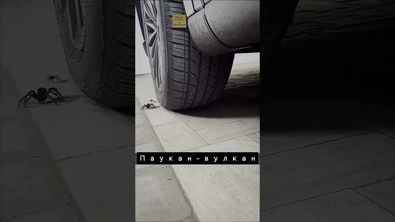 Сюрприз для паука 🕷️🐜🤣😂 | Sondoll Shorts (смешная озвучка) #ants #spider