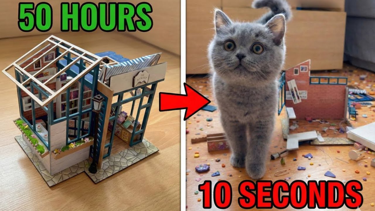 My Kitten Destroyed My 50-Hour Project 😂🐾