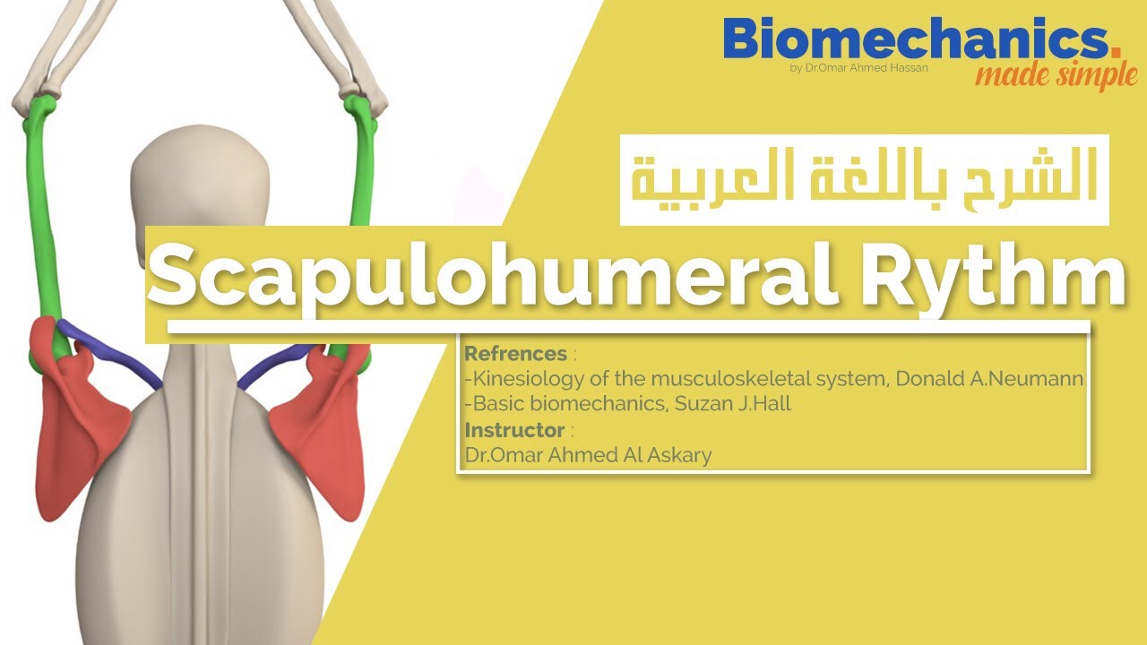Scapulohumeral Rythm - Biomechanics made simple