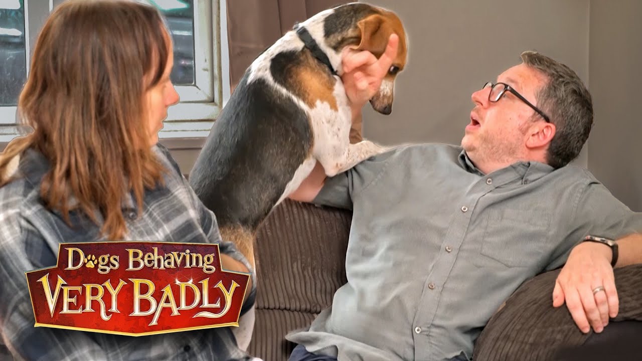 This Dog Is Forcing Us to Make the Hardest Decision Ever | Dogs Behaving Very Badly