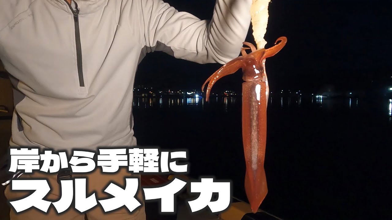 【宮城でイカ釣り】岸から手軽に釣れる夏のスルメイカ