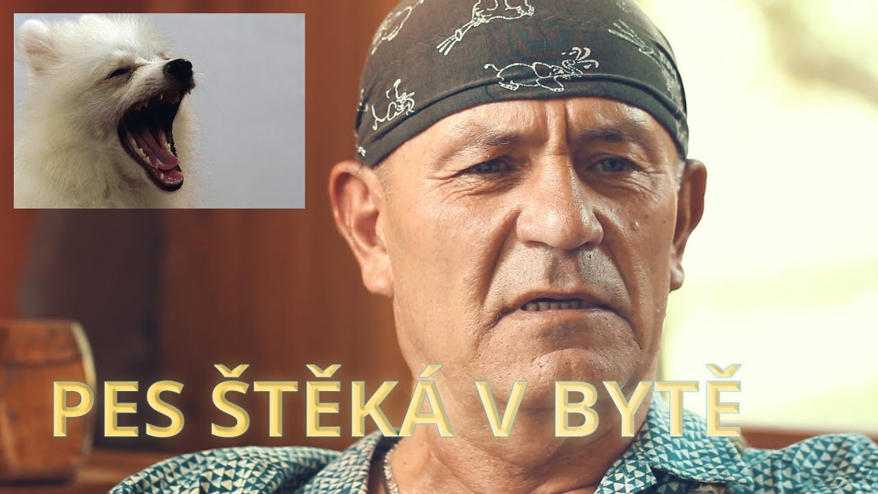 Pes štěká v bytě