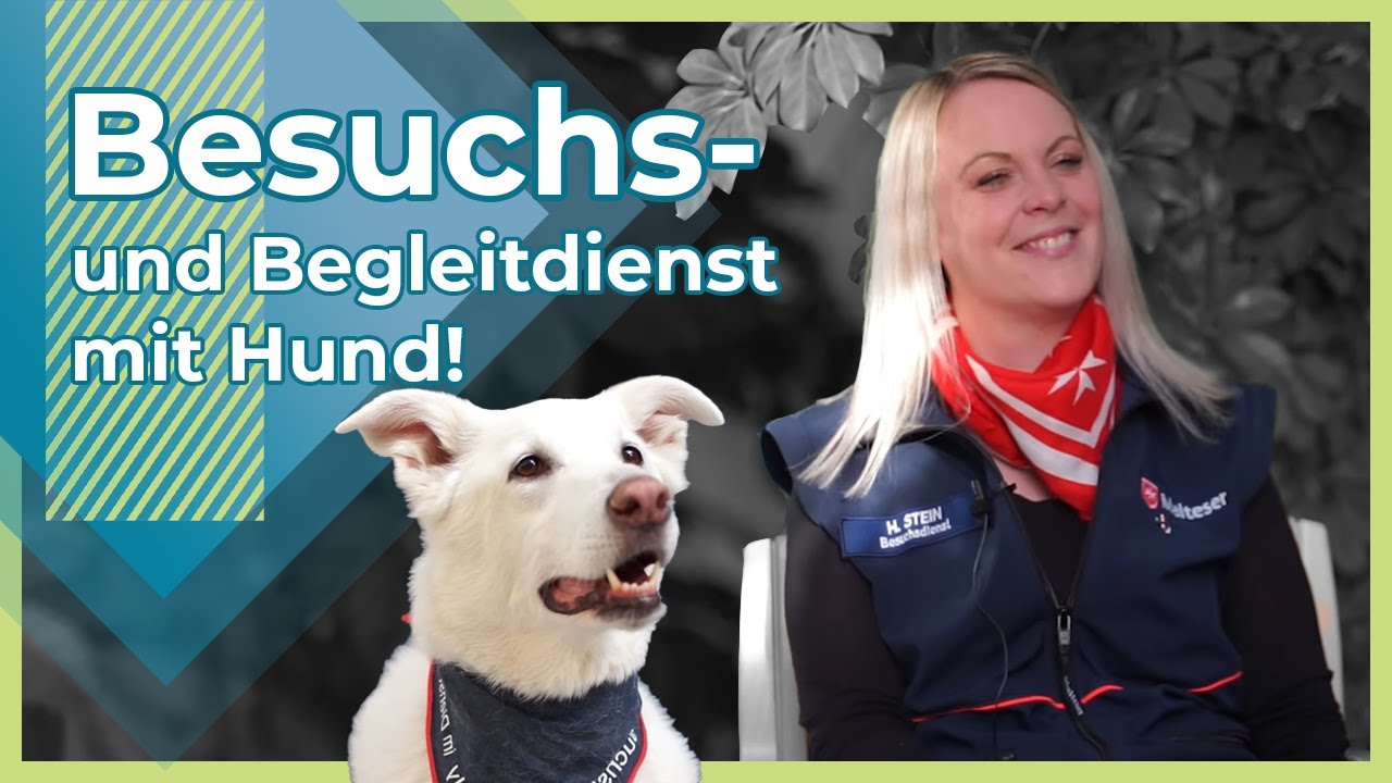 Besuchsdienst | Begleitdienst mit Hund - Henrike Stein (Malteser) über Einsamkeit im Alter