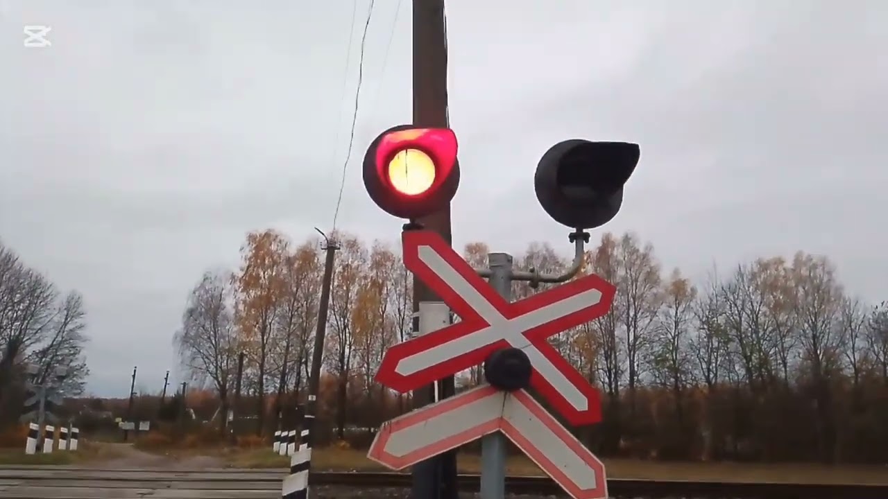 23 ноября 2025 г.