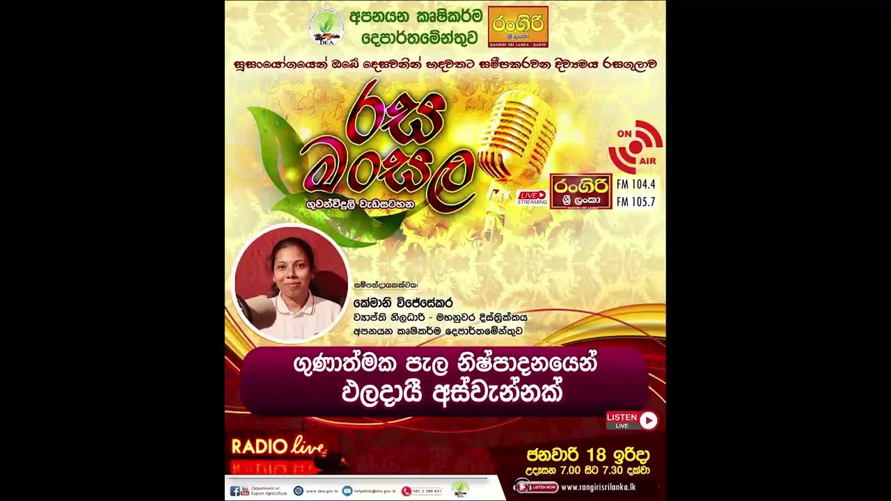 රස මංසල - ගුණාත්මක පැල නිෂ්පාදනයෙන් ඵලදායී අස්වැන්නක්