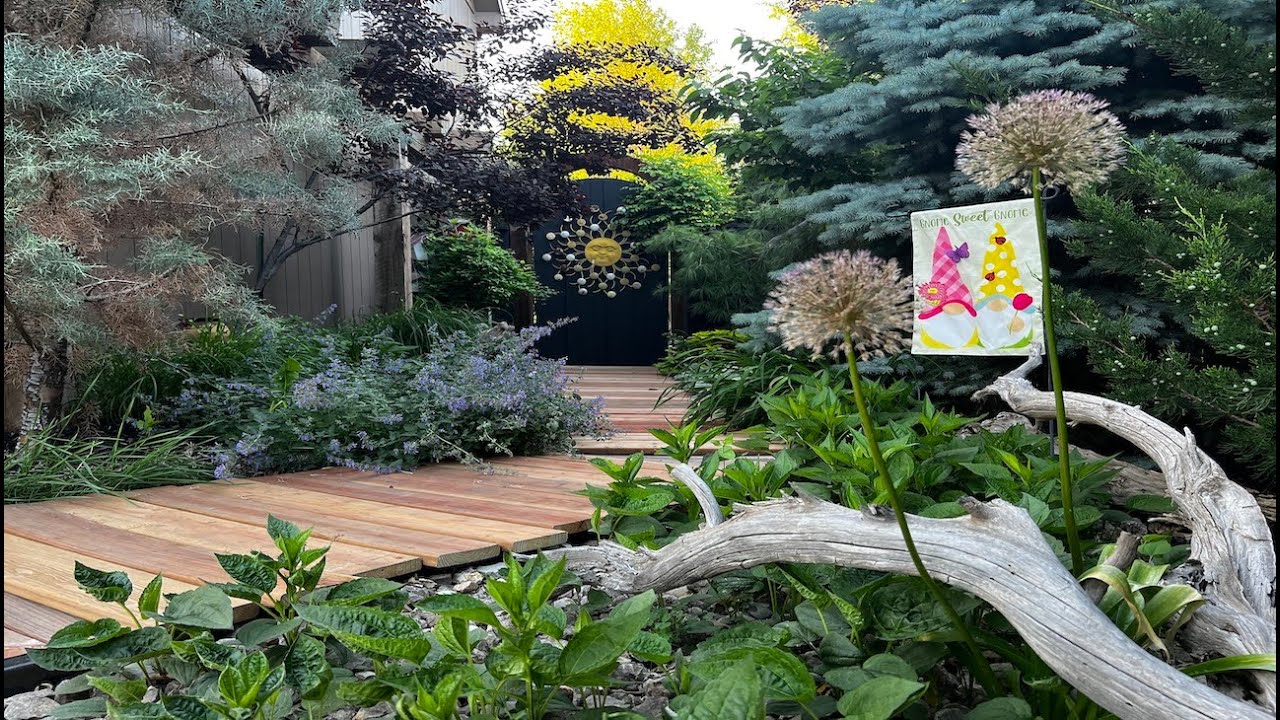It's A May Garden Tour 🌹🌳🌺🌱🌻🪻🌿