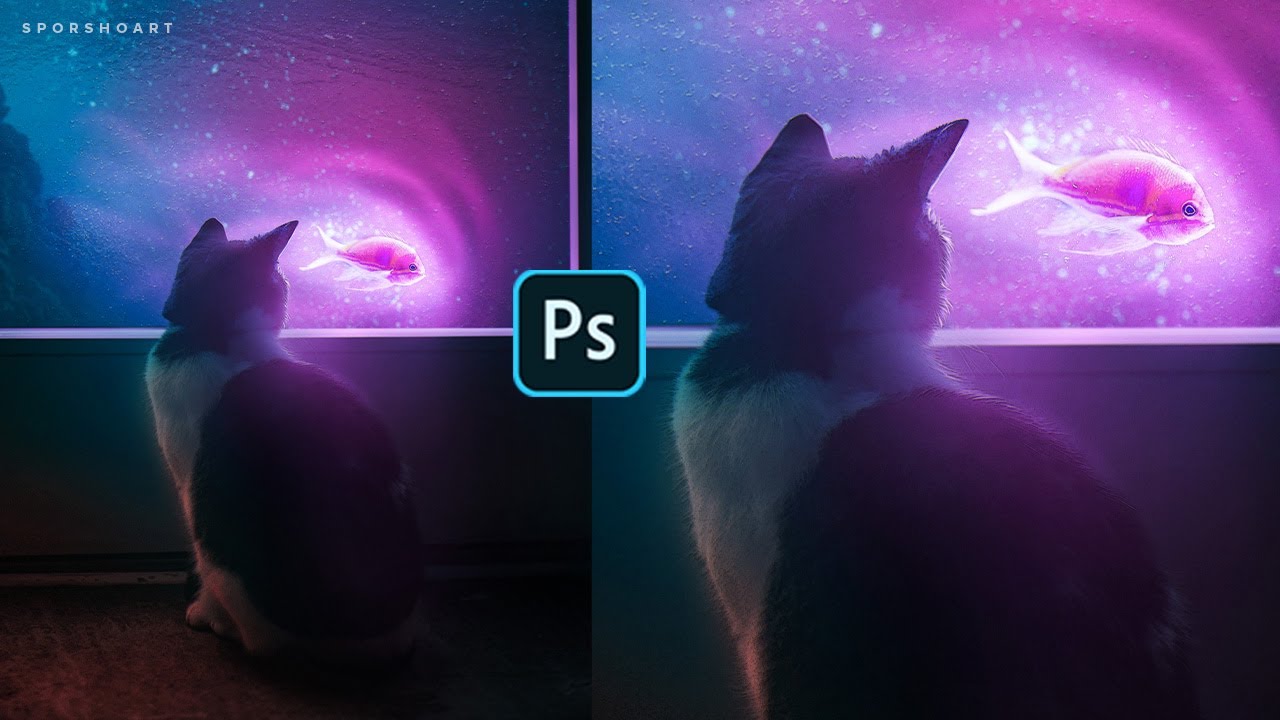 Cat Met His Glowing Friend - Photoshop Manipulation | Fantasy Glow Photoshop