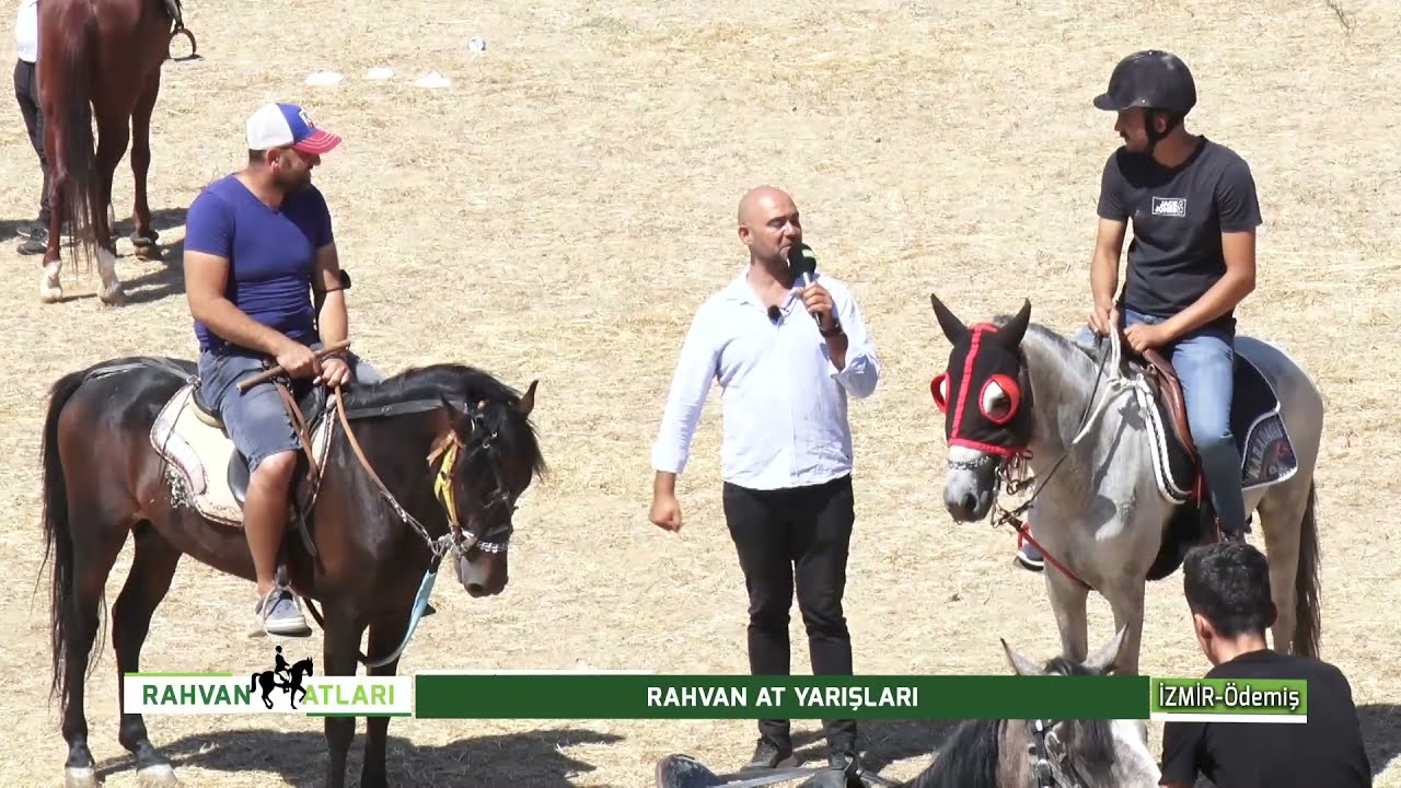 RAHVAN ATLARI - RAHVAN AT YARIŞLARI 16.09.2021