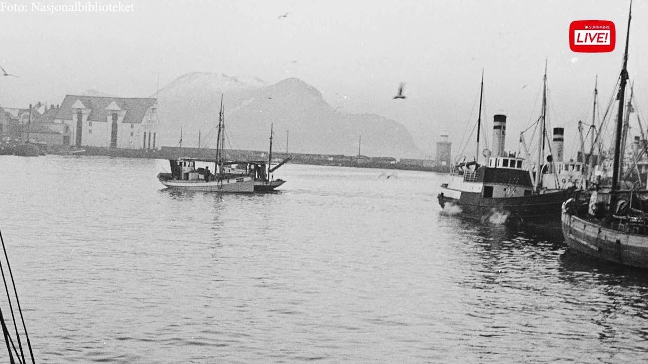 Borgundfjordtorsk til meir enn berre klippfisk