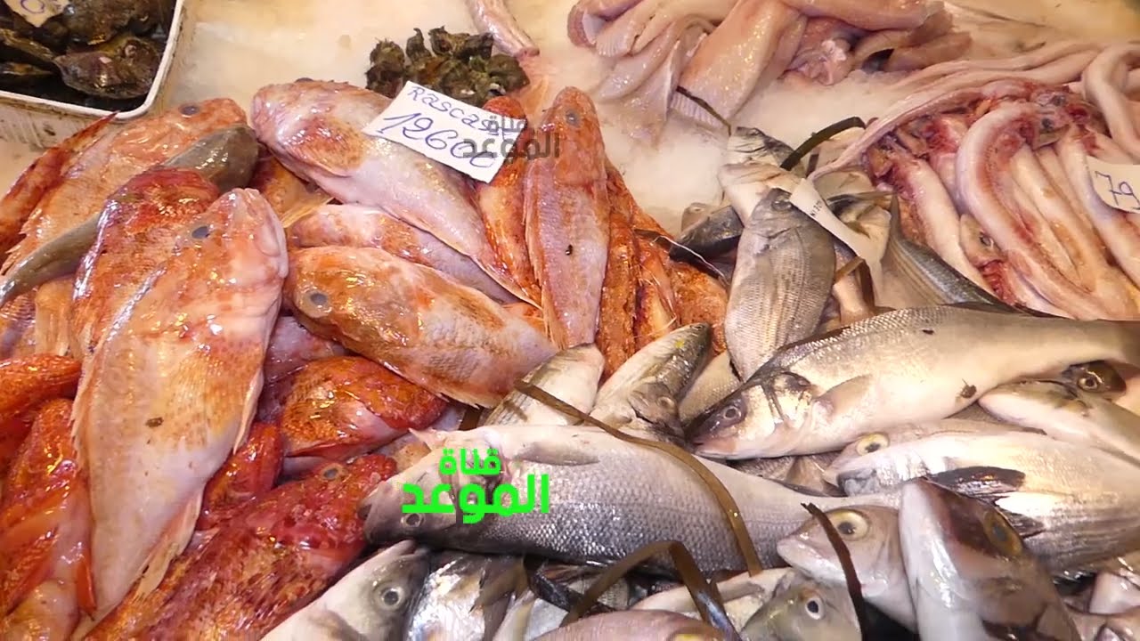 سوق الحوت في بنزرت ثمة أنواع متع حوت تفقدت من السوق ، و الأسوام تتبدل إنت و الطقس