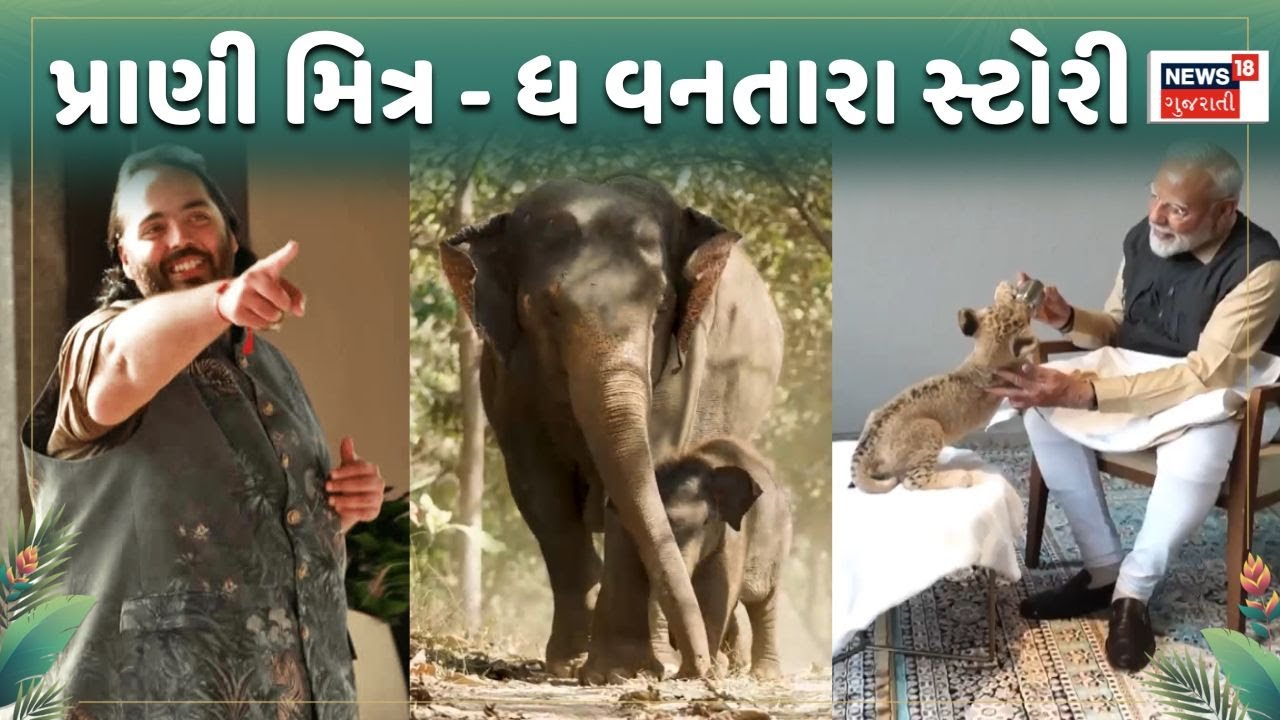 The Vantara Story | પ્રાણી મિત્ર - ધ વનતારા સ્ટોરી |The Extraordinary Story of Vantara |Anant Ambani