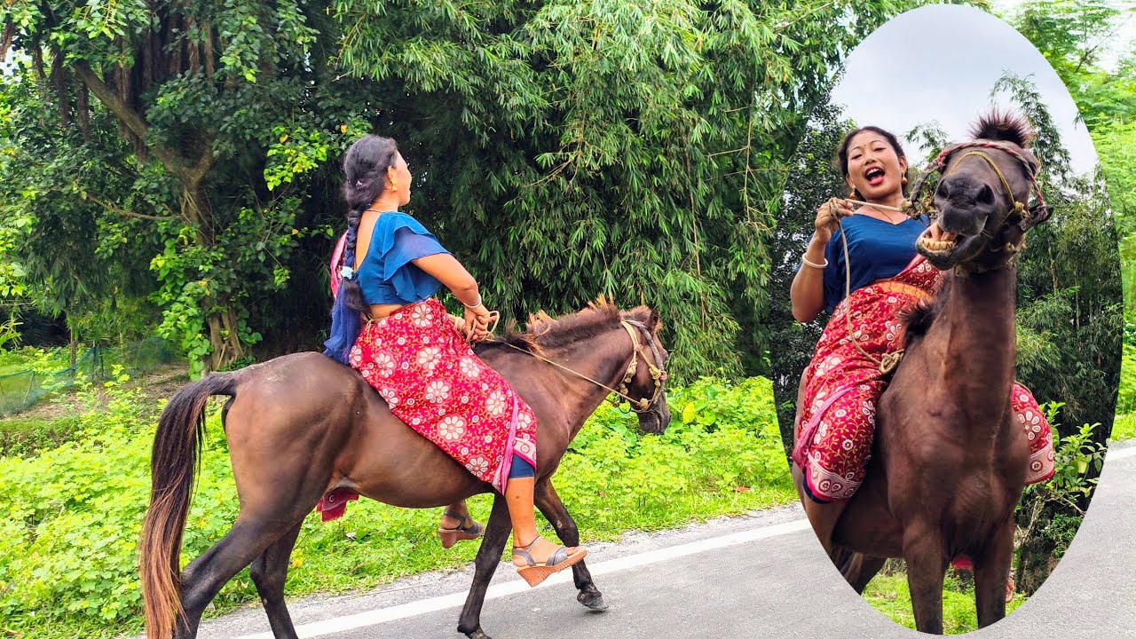 गाँव की ऊँची सड़क पर घोड़े की सवारी | High Road Horse Riding in Village 😍