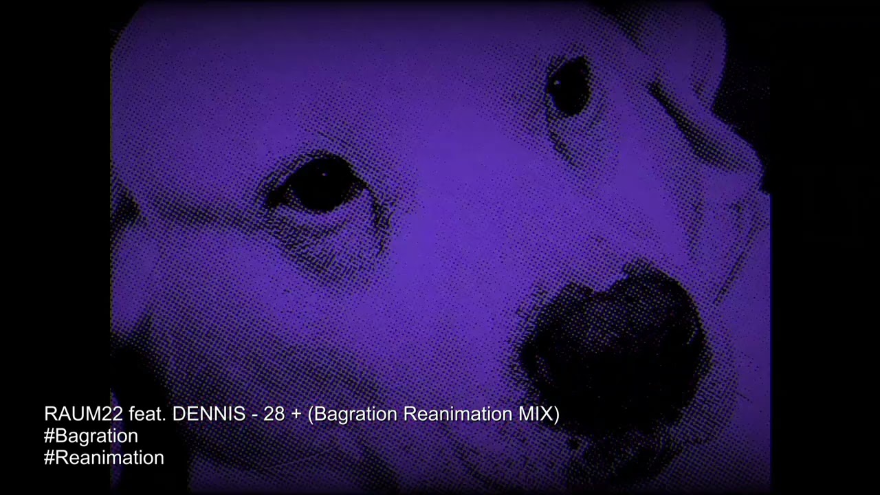 RAUM22 feat. DENNIS - 28 + (Bagration Reanimation MIX)