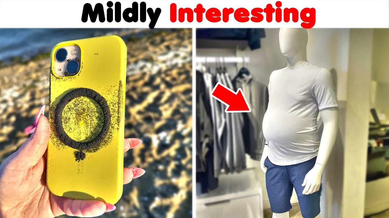 Mildly Interesting Finds: Unexpectedly Cool Discoveries